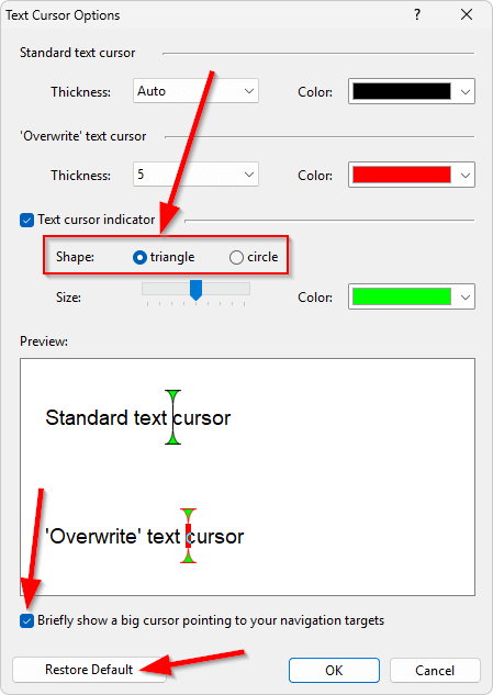 New options in the 'Text Cursor Options' dialog