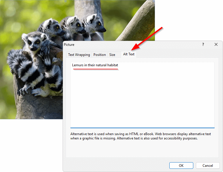 The 'Alt text' tab of the 'Picture' dialog